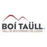 BUSINESS DUE DILIGENCE FOR BOÍ-TAÜLL SKI RESORT – SPAIN