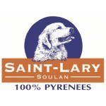 MASTER PLAN EN RESTAURACIÓN PARA SAINT-LARY SKI RESORT – FRANCÍA